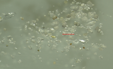 微信图片_2025-12-29_135929_837 微信图片_2025-12-29_135929_837