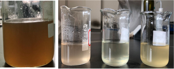 微信图片_2026-04-16_155453_044